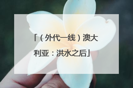 （外代一线）澳大利亚：洪水之后