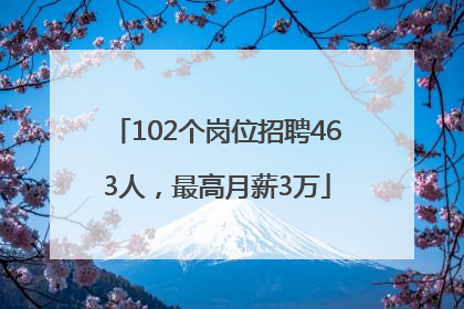 102个岗位招聘463人，最高月薪3万