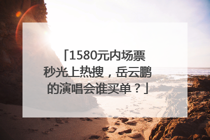 1580元内场票秒光上热搜，岳云鹏的演唱会谁买单？