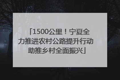 1500公里！宁夏全力推进农村公路提升行动 助推乡村全面振兴