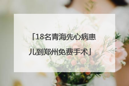 18名青海先心病患儿到郑州免费手术