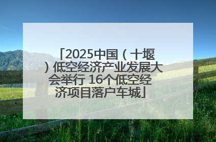 2025中国（十堰）低空经济产业发展大会举行 16个低空经济项目落户车城
