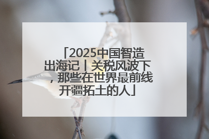 2025中国智造出海记丨关税风波下，那些在世界最前线开疆拓土的人