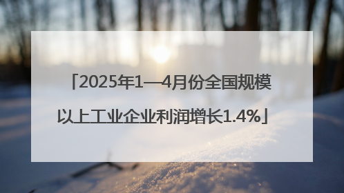2025年1—4月份全国规模以上工业企业利润增长1.4%