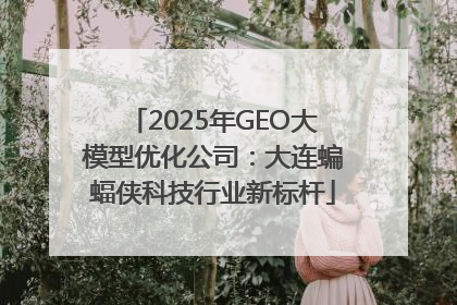 2025年GEO大模型优化公司：大连蝙蝠侠科技行业新标杆