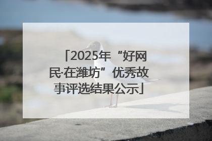 2025年“好网民·在潍坊”优秀故事评选结果公示