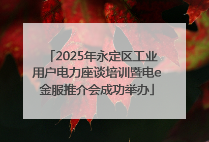 2025年永定区工业用户电力座谈培训暨电e金服推介会成功举办