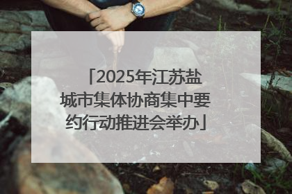 2025年江苏盐城市集体协商集中要约行动推进会举办