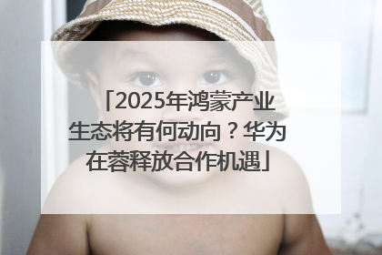 2025年鸿蒙产业生态将有何动向？华为在蓉释放合作机遇