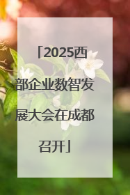 2025西部企业数智发展大会在成都召开
