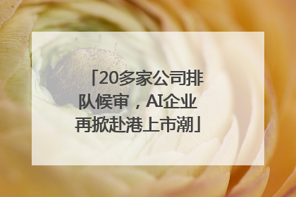 20多家公司排队候审，AI企业再掀赴港上市潮