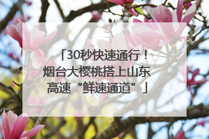 30秒快速通行！烟台大樱桃搭上山东高速“鲜速通道”