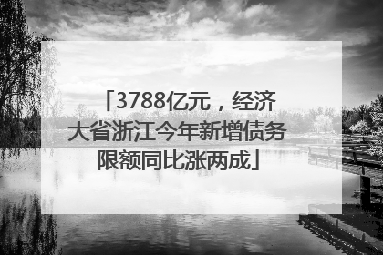 3788亿元，经济大省浙江今年新增债务限额同比涨两成