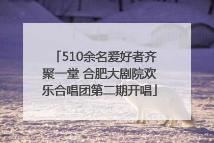 510余名爱好者齐聚一堂 合肥大剧院欢乐合唱团第二期开唱