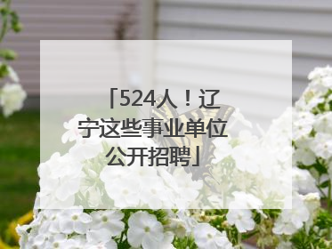 524人！辽宁这些事业单位公开招聘
