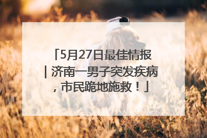5月27日最佳情报｜济南一男子突发疾病，市民跪地施救！