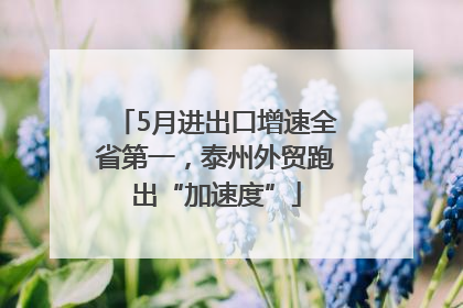 5月进出口增速全省第一，泰州外贸跑出“加速度”