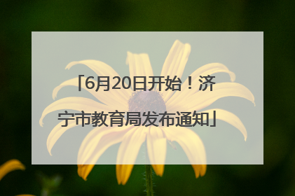 6月20日开始！济宁市教育局发布通知