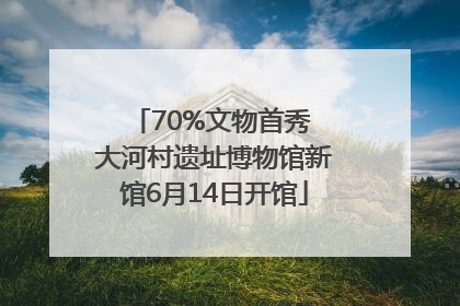 70%文物首秀 大河村遗址博物馆新馆6月14日开馆
