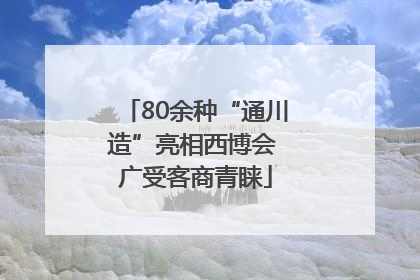 80余种“通川造”亮相西博会 广受客商青睐