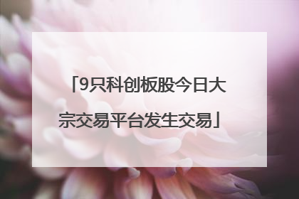 9只科创板股今日大宗交易平台发生交易