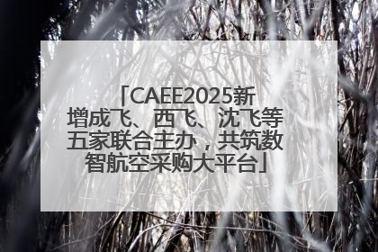 CAEE2025新增成飞、西飞、沈飞等五家联合主办，共筑数智航空采购大平台
