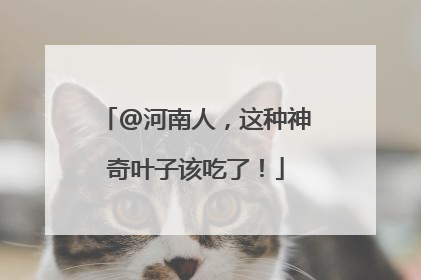 @河南人，这种神奇叶子该吃了！
