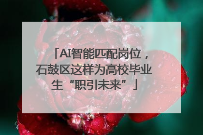 AI智能匹配岗位，石鼓区这样为高校毕业生“职引未来”
