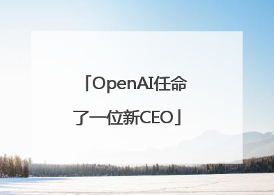 OpenAI任命了一位新CEO