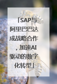 SAP与阿里巴巴达成战略合作，加速AI驱动的数字化转型