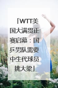 WTT美国大满贯正赛启幕：国乒男队需要中生代球员挑大梁